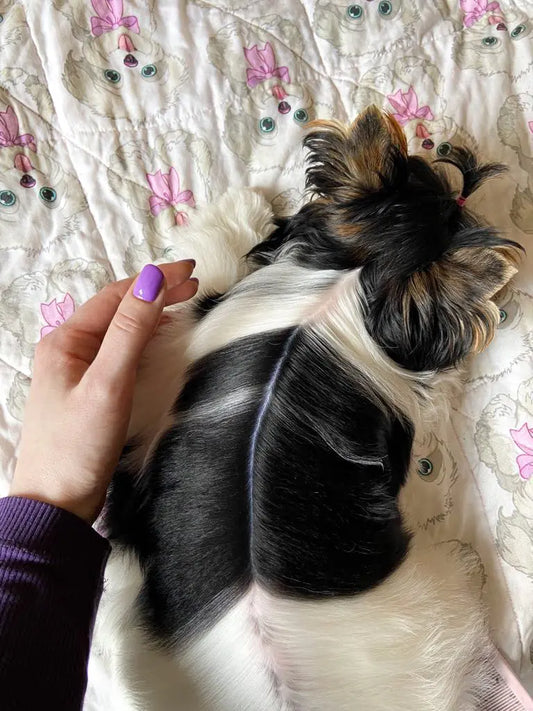 The story of long hair