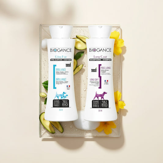 Ilgaplaukių šunų priežiūros rinkinys: Long Coat šampūnas + Gliss Hair kondicionierius