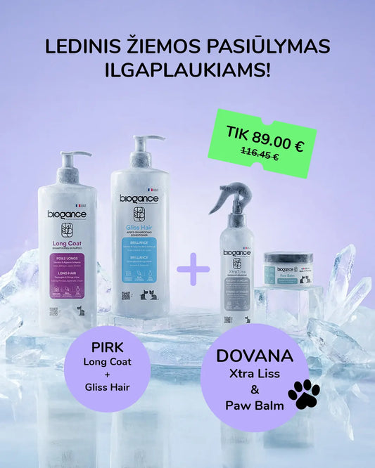 Ledinis žiemos pasiūlymas