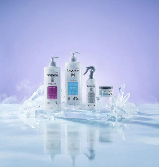 Ledinis žiemos pasiūlymas